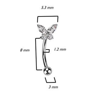 Or 14kt Sourcil Papillon Zircone