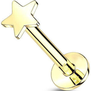 Solid Gold 14 Carat Labret Star Flat Push-In