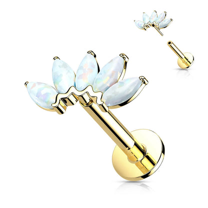 Solid Gold 14 Carat Labret Marquise 5 Opal Push-In